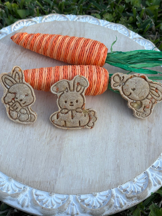 Carrot Patch Bunnies